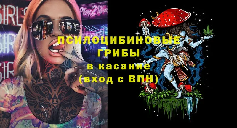 Галлюциногенные грибы Magic Shrooms  Серпухов 